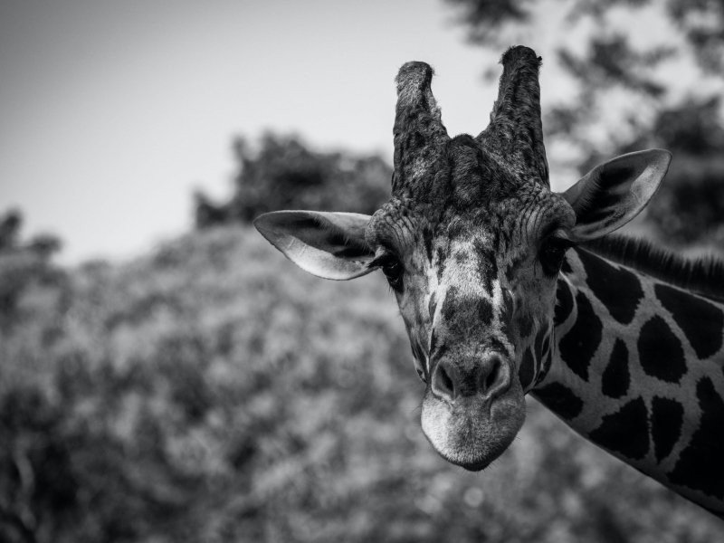 Dagje uit met kinderen